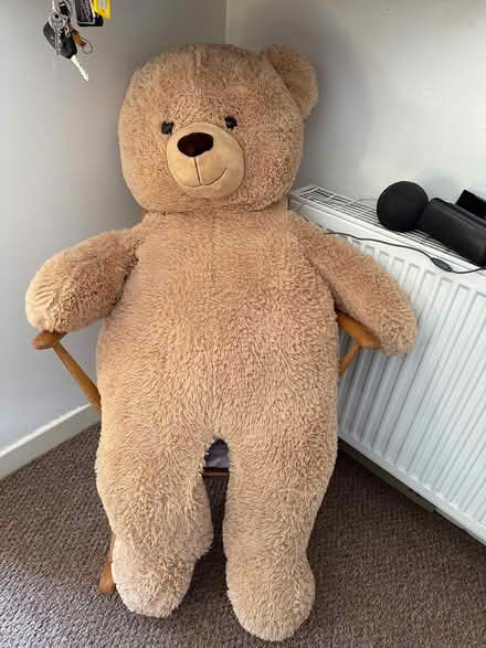 Photo of free Large Teddy (Alloa FK10) #1