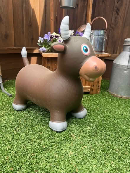 Photo of free Bouncy toy (Sunnyvale) #1