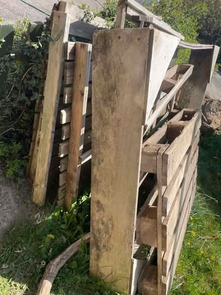Photo of free Lots of old bits of Palate (Bayston Hill) #2
