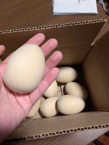Photo of free Wooden eggs (North Laurel) #1