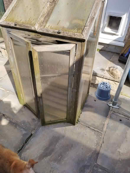 Photo of free Small greenhouse (SK23) #2