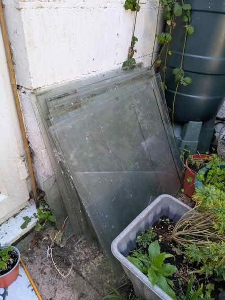 Photo of free Greenhouse glass panes (Portsmouth) #1