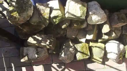 Photo of free stone all shapes and sizes to build a rockery or what ever y (East Cramlington NE23) #3