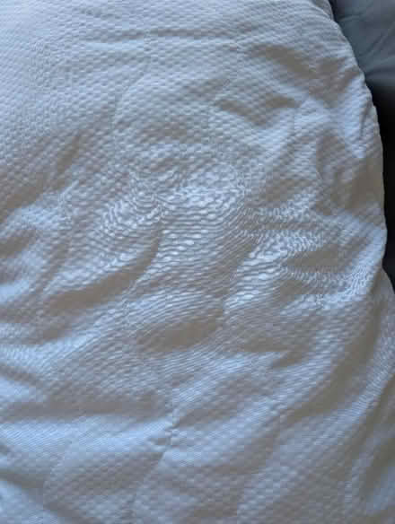 Photo of free Pair of pillows (Heysham LA3) #2