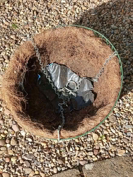 Photo of free Hanging basket. 12". Lined and has hook and 3 chains. Needs (Pannal HG3) #1