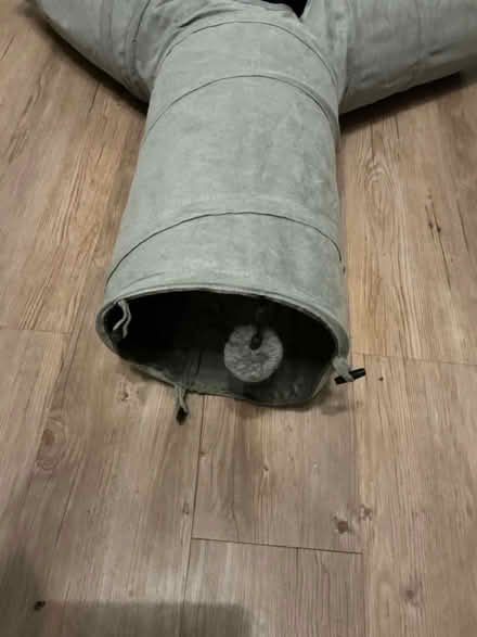 Photo of free Cat tunnel (Horsforth, LS18) #2