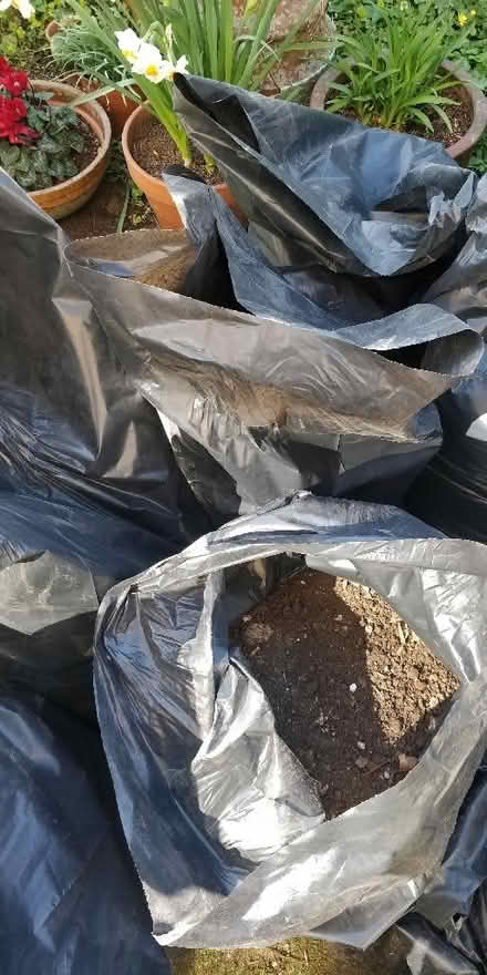 Photo of free Rubble sacks full of top soil (Surrenden BN1) #2
