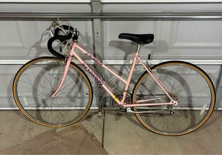 Photo of free Ladies bicycle (Sauganash south of Rogers Ave) #1
