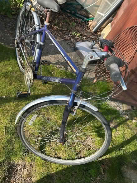 Photo of free Men’s BICYCLE (Woodley RG5) #3