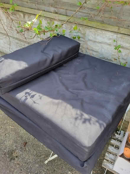Photo of free Foldout foam bed (West End LA4) #1