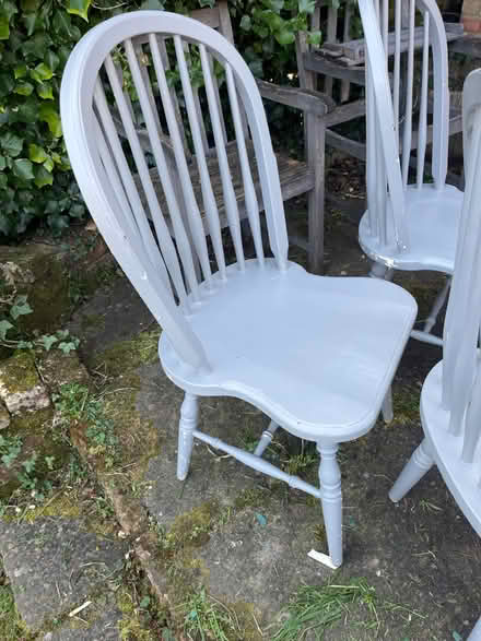 Photo of free 6 dining chairs 2 with arm rests (CR8) #2