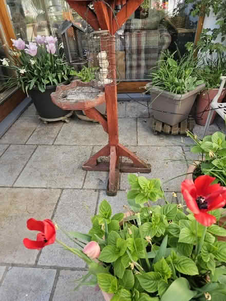 Photo of free New Bird Table (Rathfarnham) #3