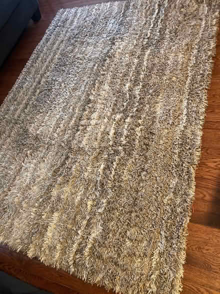 Photo of free Good condition rug 5 x 7 (Orleans) #1