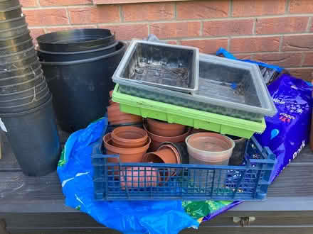 Photo of free Plant pots of various sizes (Calthwaite CA11) #1