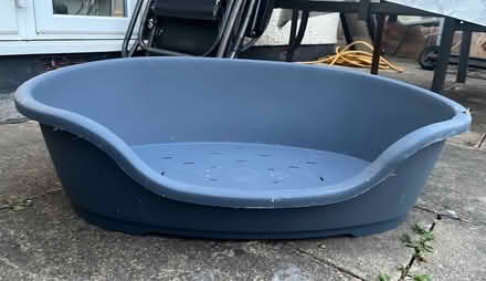 Photo of free Dog bed (North cheam) #1
