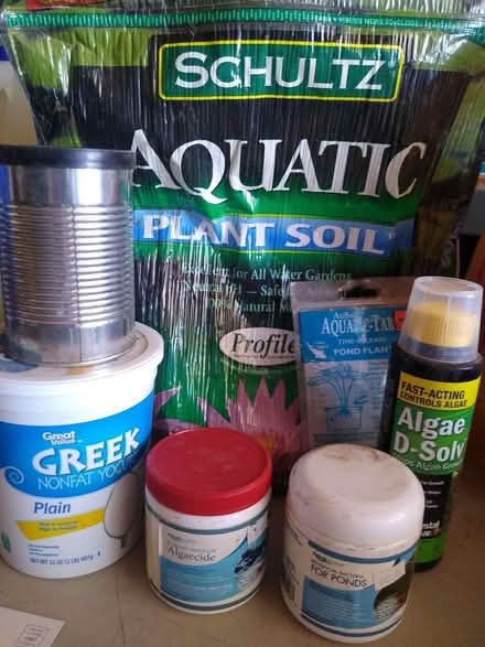 Photo of free Pond items (Spain/Juan Tabo) #1