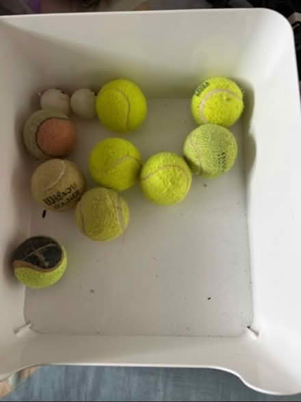 Photo of free Tennis balls (Panshanger AL7) #1