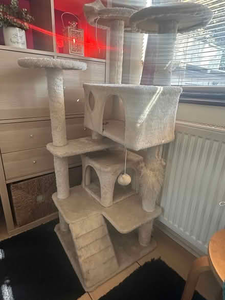 Photo of free Tall cat tree (Ilford) #1