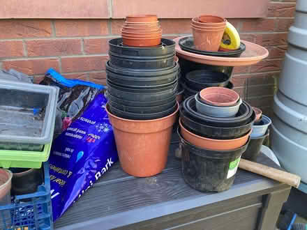 Photo of free Plant pots of various sizes (Calthwaite CA11) #3