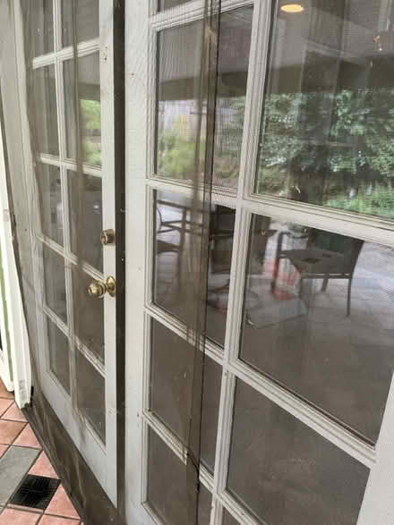 Photo of free Bug screen (Sebastopol north near downtown) #2
