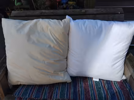 Photo of free 2 x 27" feather cushion pads (CT10 Broadstairs) #1