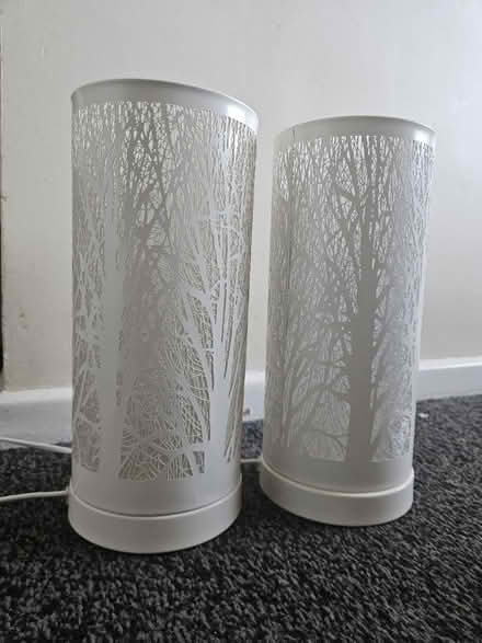 Photo of free Bedside table touch lamps (BR8) #2