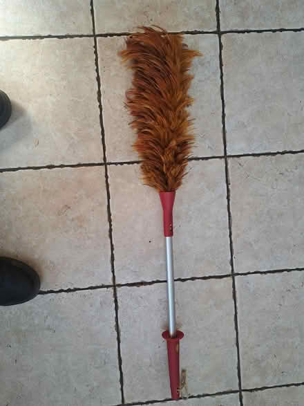 Photo of free Real feather duster (Cheltenham GL52) #2