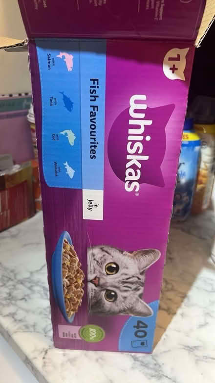 Photo of free Cat food in jelly (HP2) #1