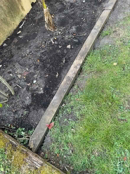 Photo of Wooden fence posts (Poole BH14) #1
