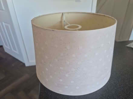 Photo of free Dinosaur lamp shade and polka dot light pink shade (Tanyard Farm estate CV4) #2