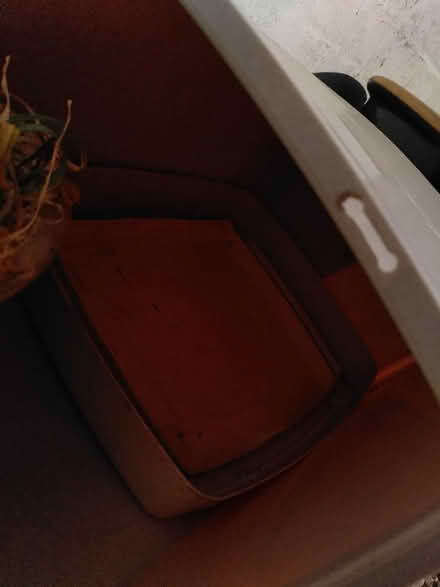 Photo of free Large Kitchen Bin (CT6) #1