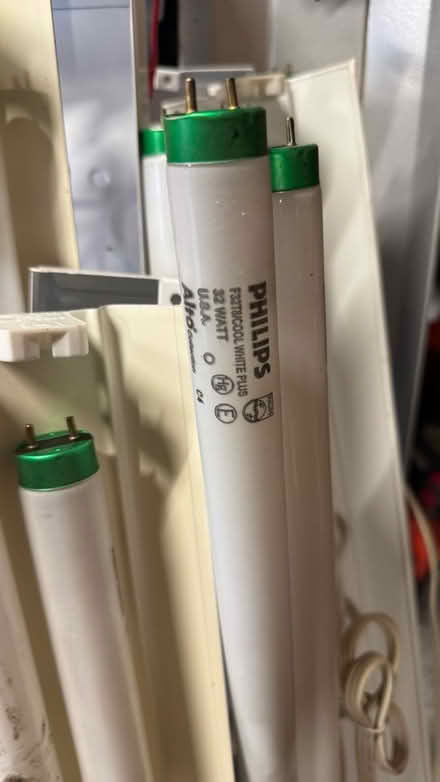 Photo of free Fluorescent fixtures and bulbs (Lakewood) #2