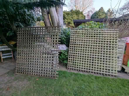 Photo of free 2m x 2m trellis (Emmer Green RG4) #1