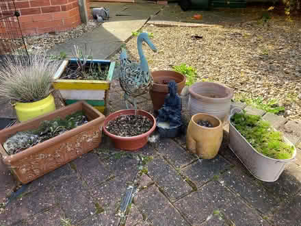 Photo of free Garden pots/ornaments (West Bridgford NG2) #1