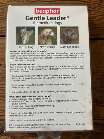 Photo of free Gentle leader for medium dogs (Lancaster and Morecambe) #2