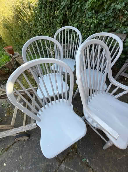 Photo of free 6 dining chairs 2 with arm rests (CR8) #1