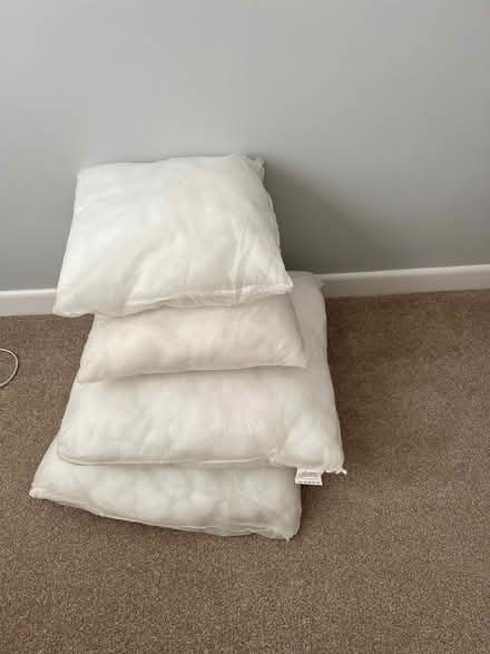 Photo of free 4 Cushion inserts (Alverstoke PO12) #1