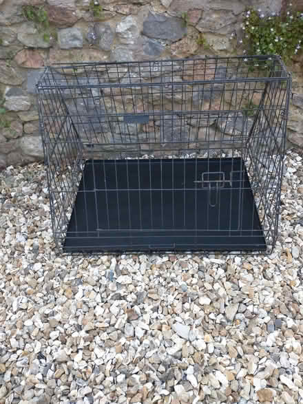 Photo of free Crate for small dog/puppy (North Wootton BA4) #4