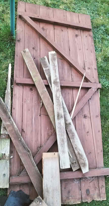 Photo of free wood (CO11) #2