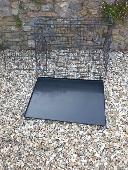 Photo of free Crate for small dog/puppy (North Wootton BA4) #2