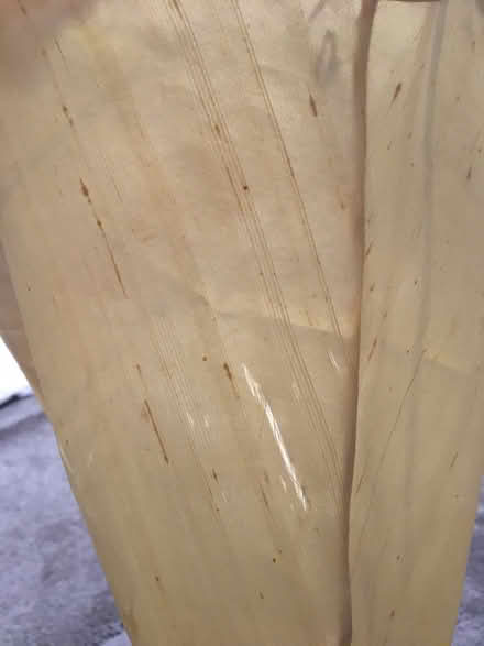 Photo of free Ceiling lamp shade (Cheylesmore CV3) #3