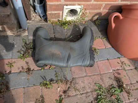 Photo of free old pair of wellies (Stamford PE9) #1