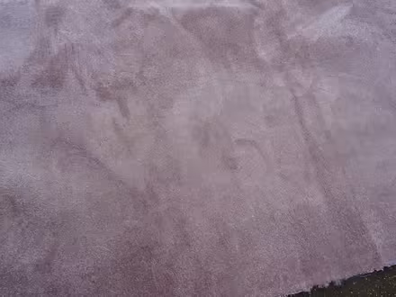 Photo of free Kingston Saxony Carpet 3x3m (GU21) #3