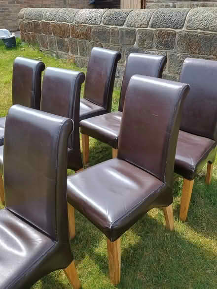 Photo of free 8 dining chairs (LS16 Adel) #3