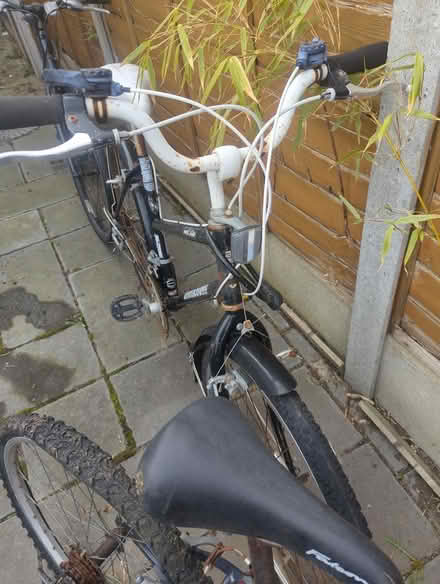 Photo of free Bikes (Southend) #3