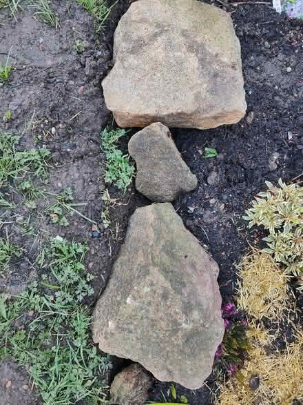 Photo of Large Garden stones (Chaddesden DE21) #1