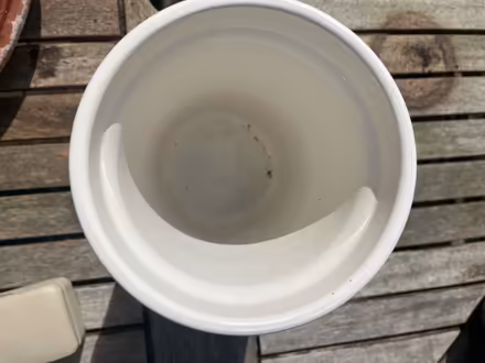 Photo of free White Ceramic Utensil Holder/Vase (IG6) #2
