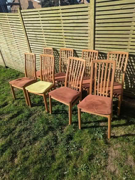 Photo of free Set of 8 dining chairs, aspley guise (Aspley Guise MK17) #1