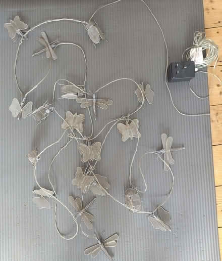 Photo of free String of Lights (not led) (Lower Walkley S6) #3