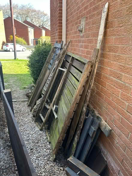 Photo of free Wood (Totley, S17) #1